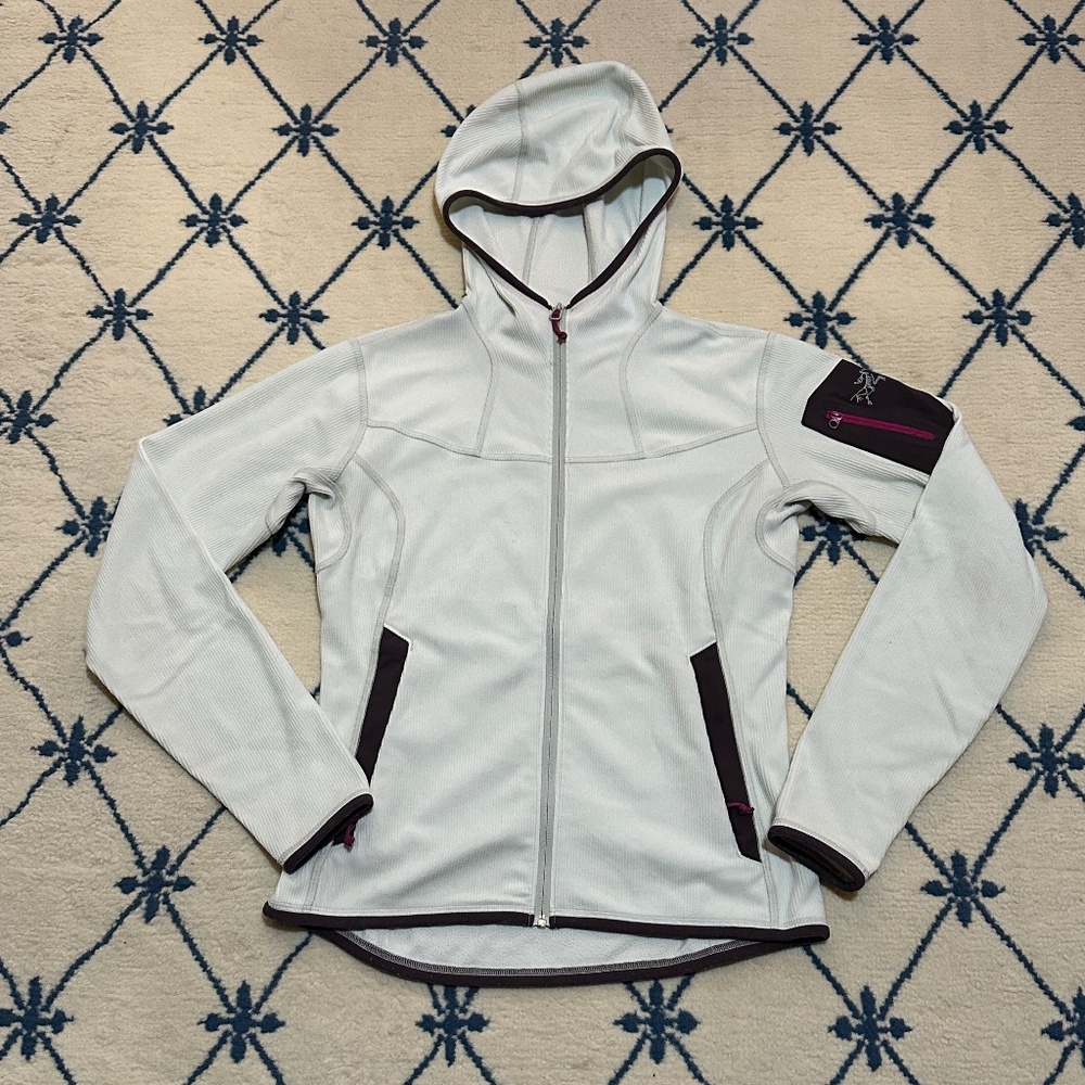 Vintage Arcteryx Caliber Hoody